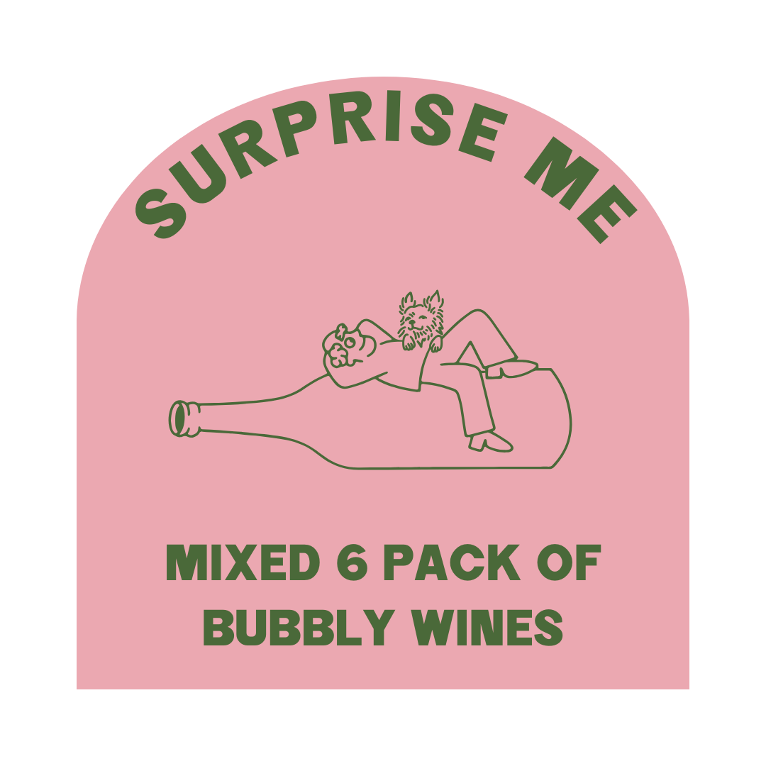 Surprise Me Fizz Mixed Six-Pack