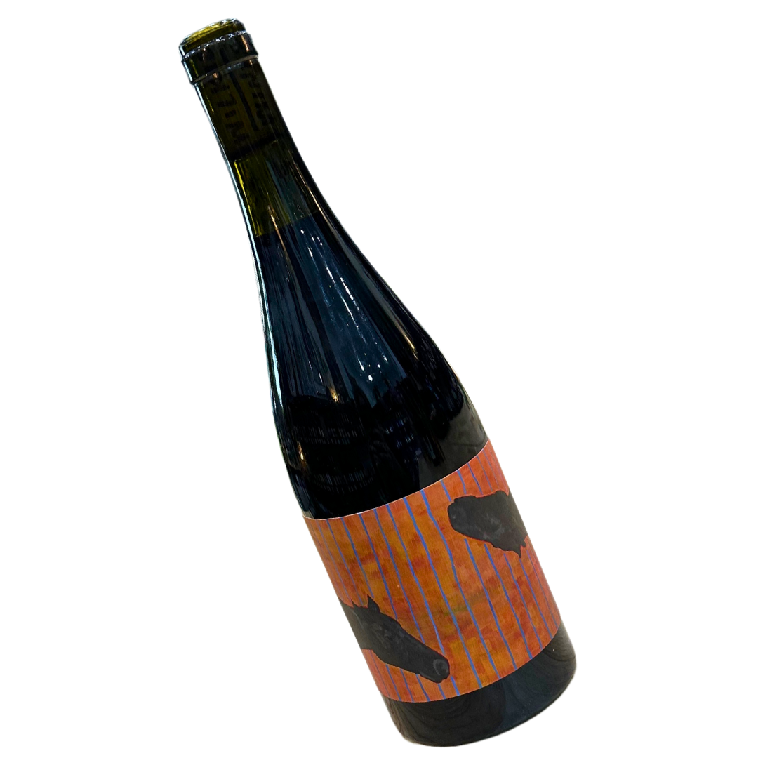 Wilkie Wines "Midnight Dilemma" Shiraz 2023