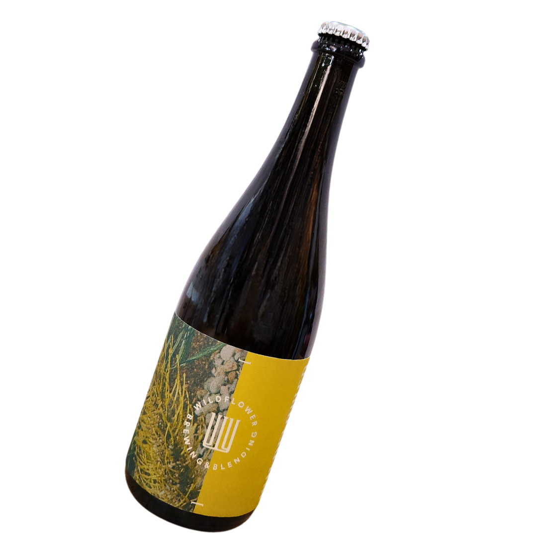 Wildflower Good as Gold Blend #22