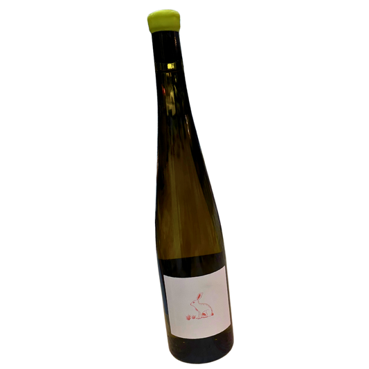 Entropy Wines Riesling 2023