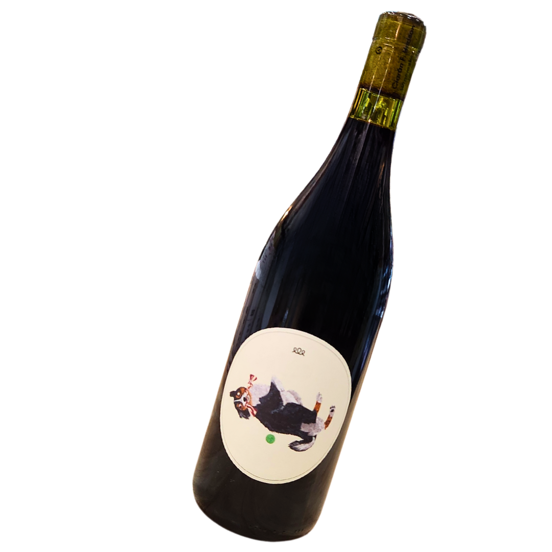 Beyond the Glass 'Magoo' Chill Red Syrah 2022