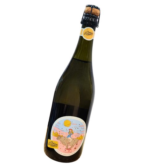 il Cattivo Prosecco 2024