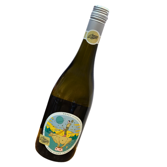 il Cattivo Fiano 2023