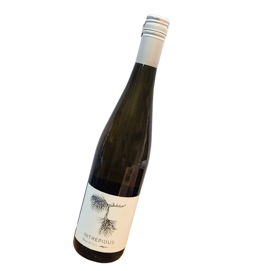 Intrepidus Blanc De Gris 2025